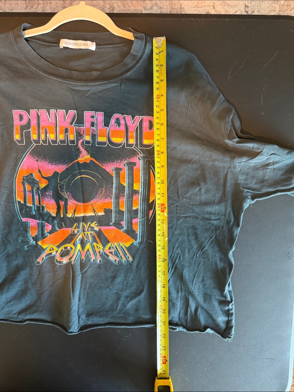Daydreamer Pink Floyd Pompeii Long Sleeve Crop Vintage Tee - Picture 8 of 8